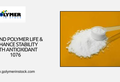 Extend Polymer Life & Enhance Stability with Antioxidant 1076