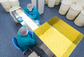 Polymer Link’s Export Strategy: Driving Growth Through High-Performance Polymer Applications