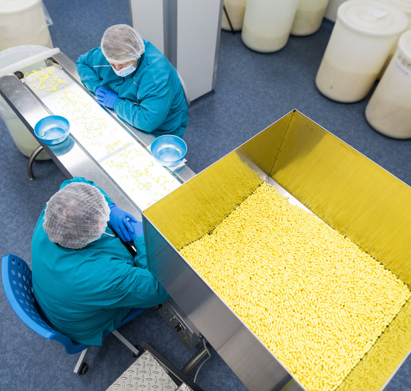 Polymer Link’s Export Strategy: Driving Growth Through High-Performance Polymer Applications