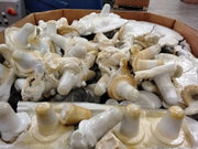 Pet Lumps natural Color