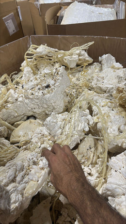 Pet Lumps Sheet Grade