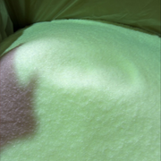 Biodegradable Organic Polymer