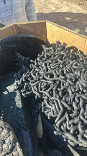 PC + ABS + TPO + TPE + HDPE + PP + PP TALC Lumps