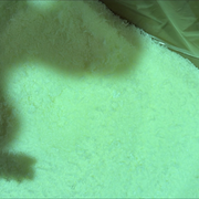 Biodegradable Organic Polymer