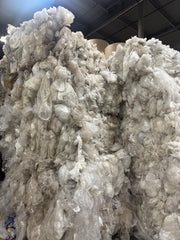 LDPE Clear Bales (Low A Grade)