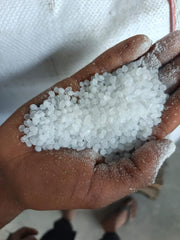 Pe plant sweepings, could have some moisture, small chunks/powder