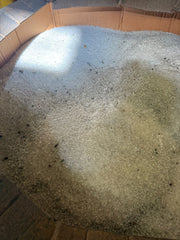 PE Natural Floor Sweeping