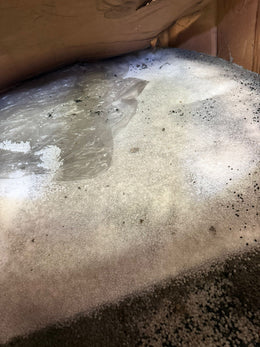 PE Natural Floor Sweeping