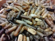PET Contaminated Preforms